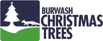 Burwash Christmas Trees